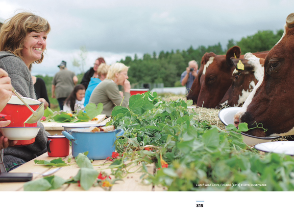 An Edge Effect: Art & Ecology in the Nordic Landscape (Hardcover)