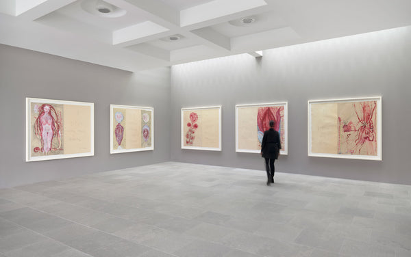 Louise Bourgeois: To Unravel a Torment (Hardcover)