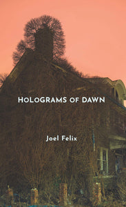 Holograms of Dawn