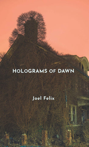 Holograms of Dawn