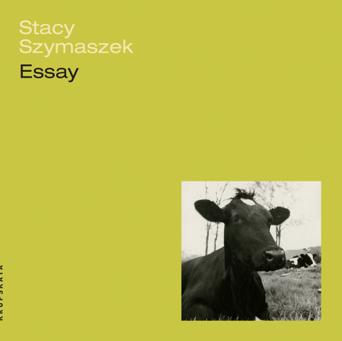 Essay