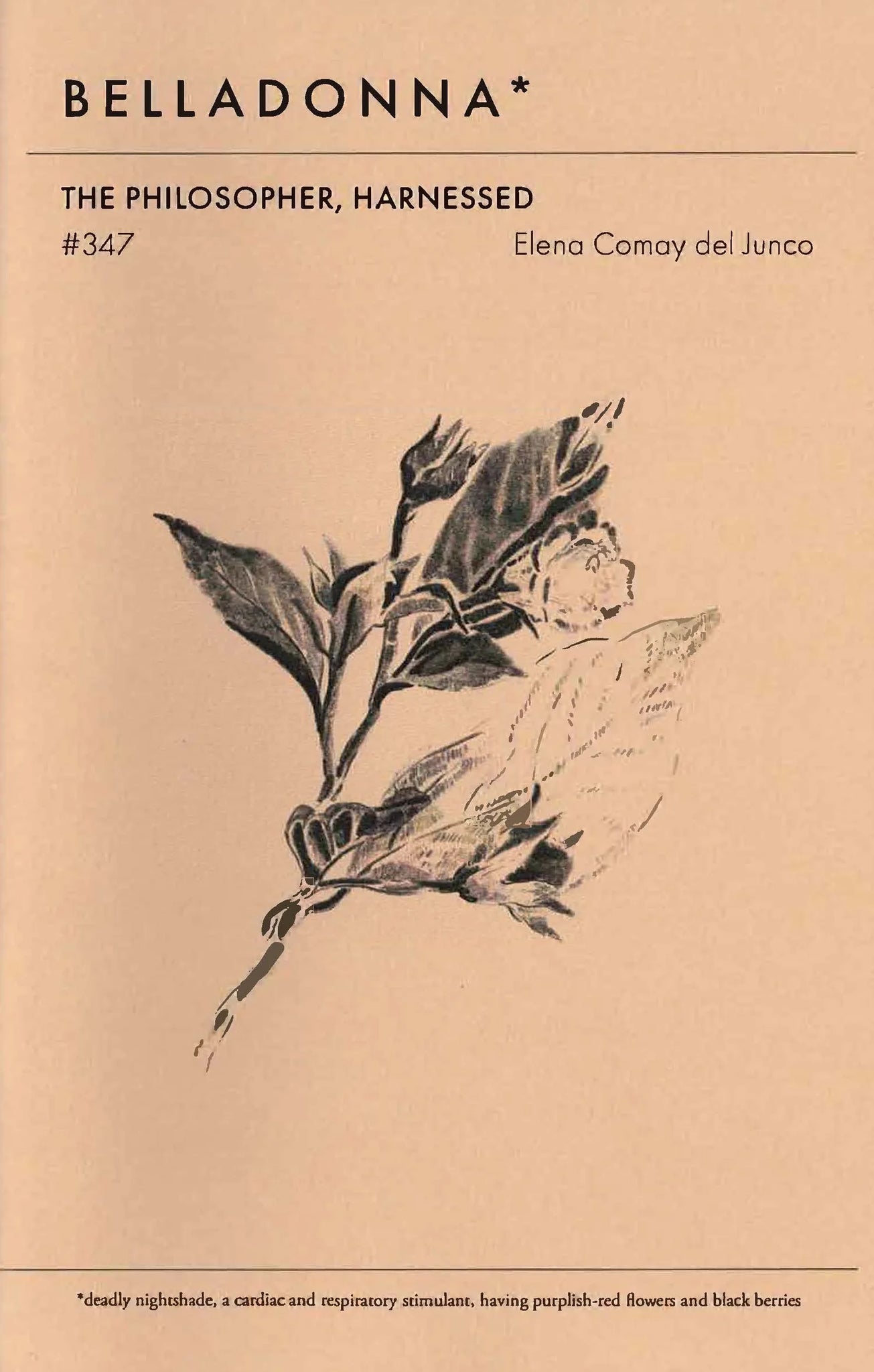 The Philosopher, Harnessed (Belladonna #347)