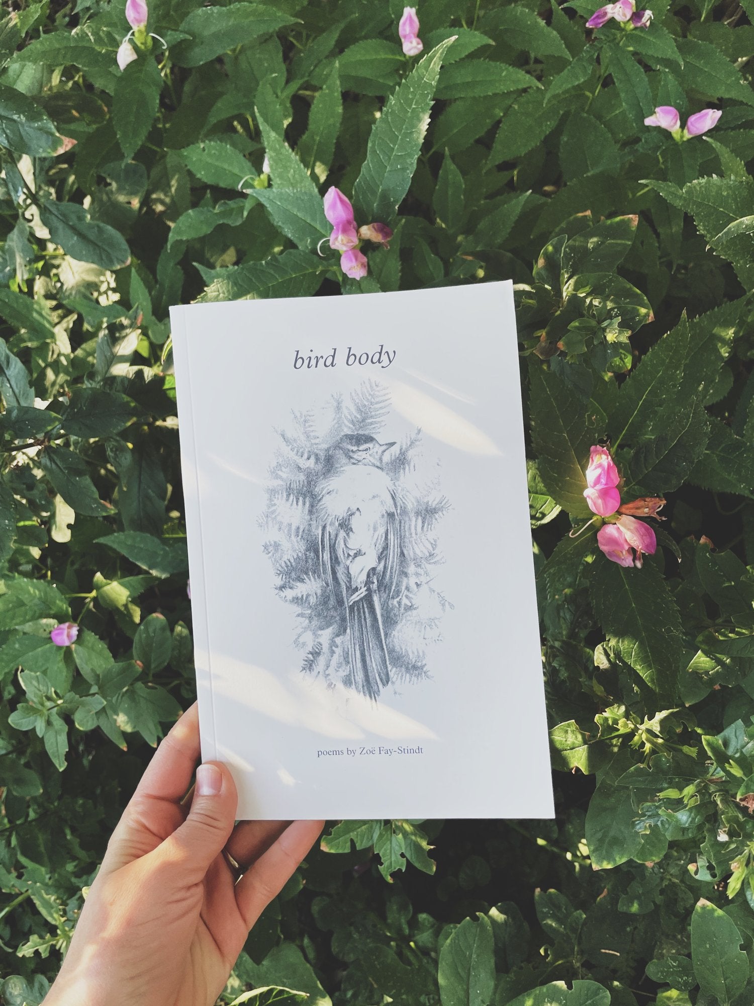 Bird Body