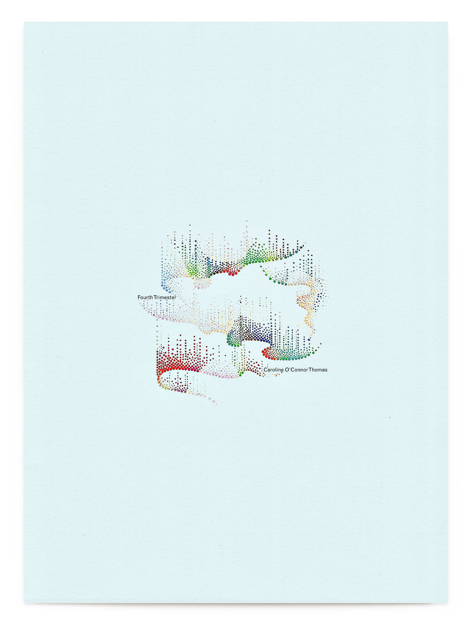 The Fourth Trimester