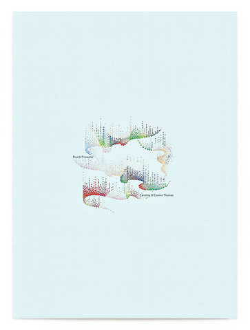 The Fourth Trimester