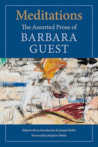 Meditations: The Assorted Prose of Barbara Guest