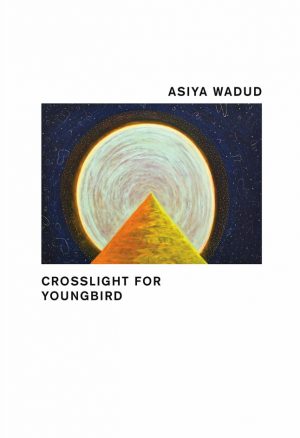 Crosslight for Youngbird