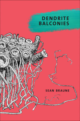 DENDRITE BALCONIES