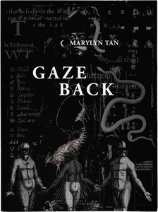 GAZE BACK