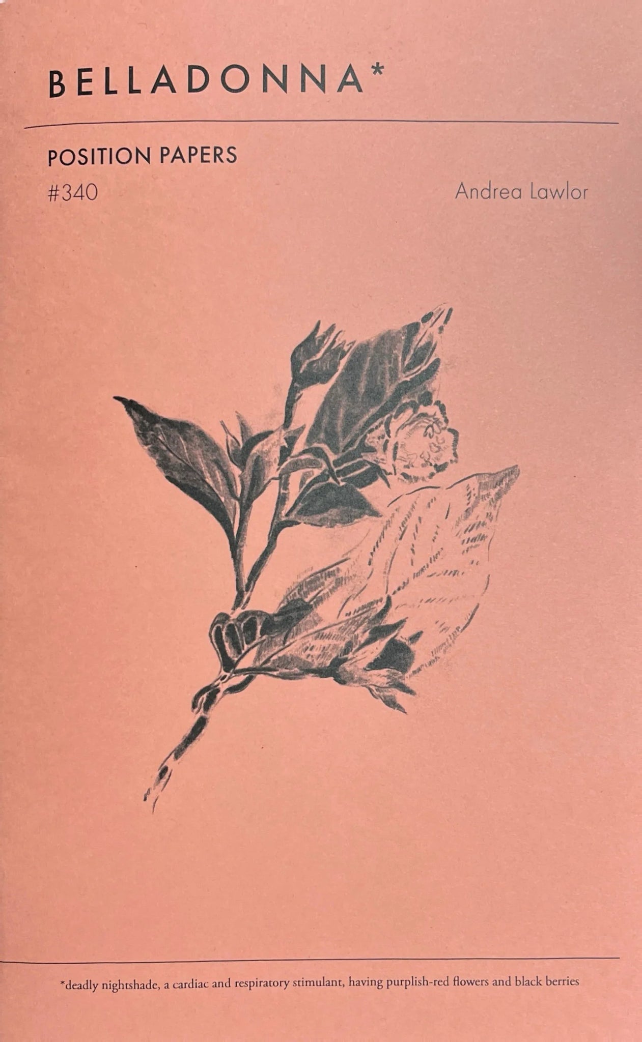 Position Papers (Belladonna* #340)