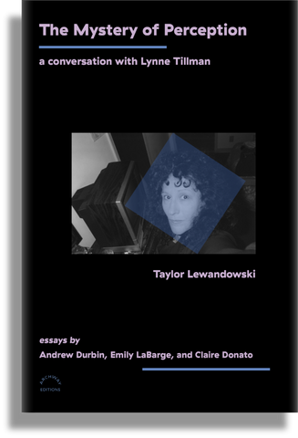 The Mystery of Perception: A Conversation with Lynne Tillman