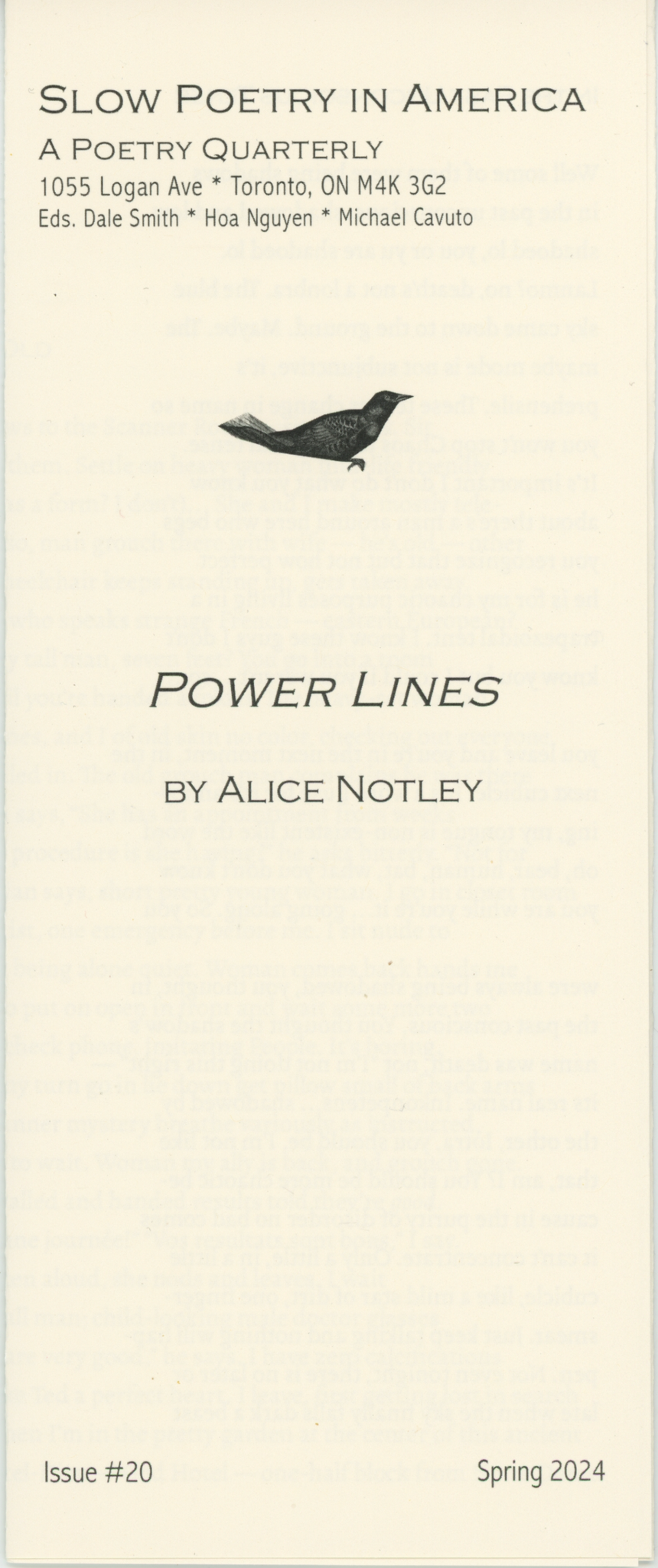 Slow Poetry in America | Issue #20: Power Lines