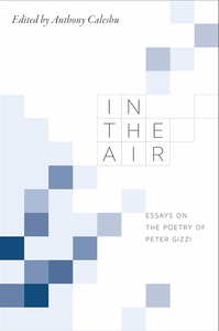 In the Air: Essays on the Poetry of Peter Gizzi