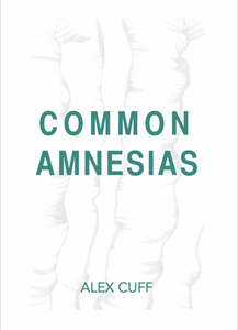 Common Amnesias