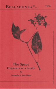 The Space: Fragments for a Family (Belladonna* #165)