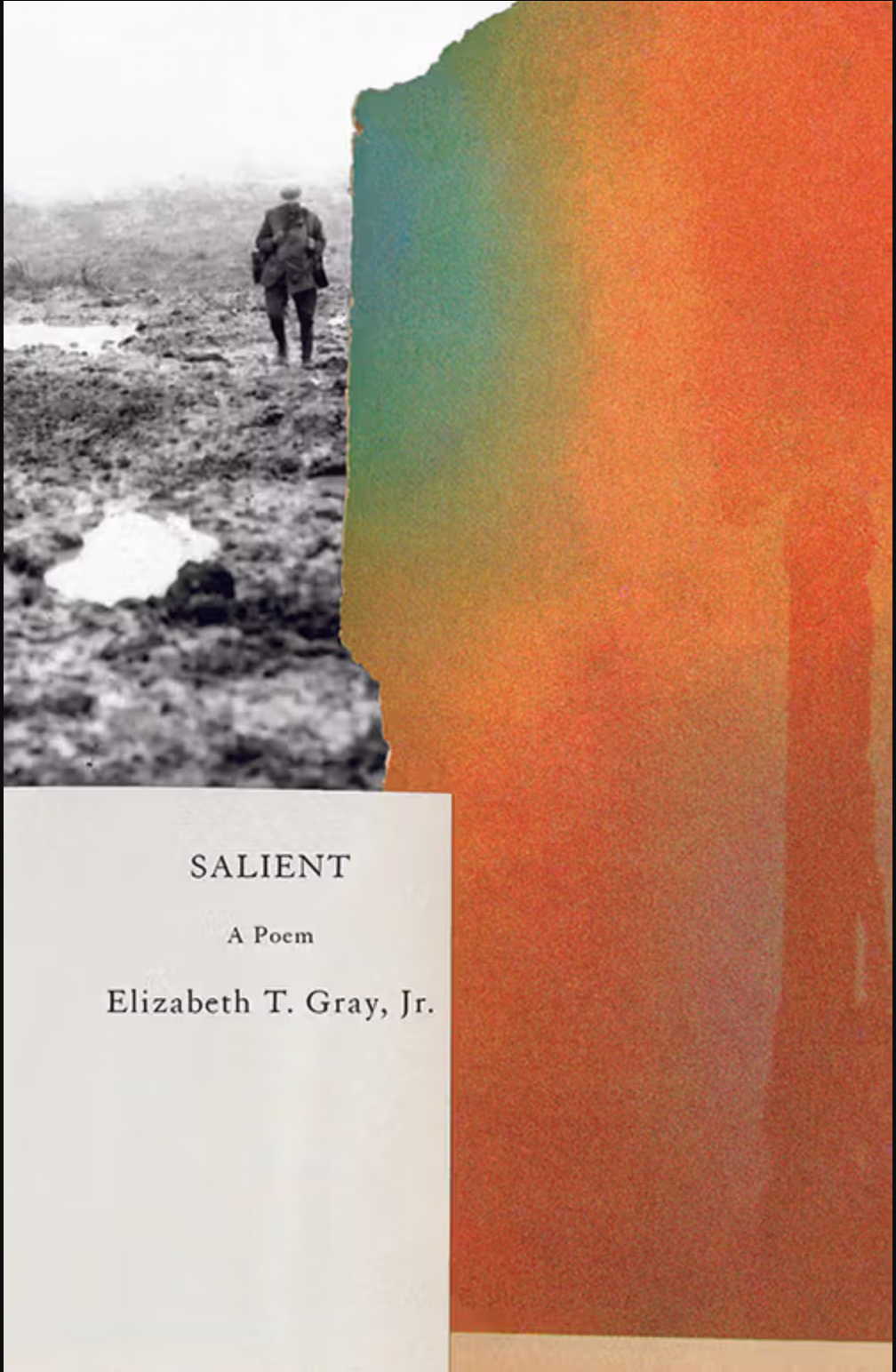 Salient: A Poem