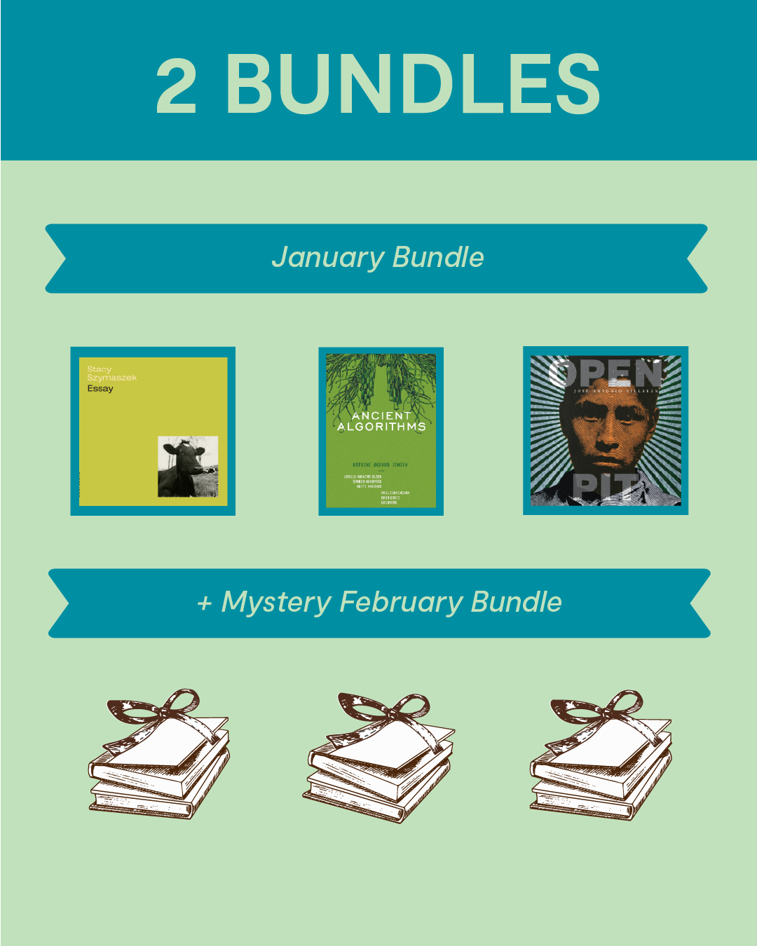 Give Small-Press Poetry! Two Bundles x Two Months