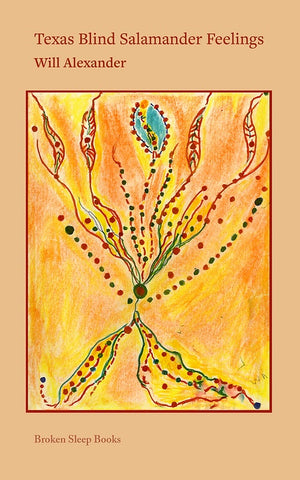Texas Blind Salamander Feelings