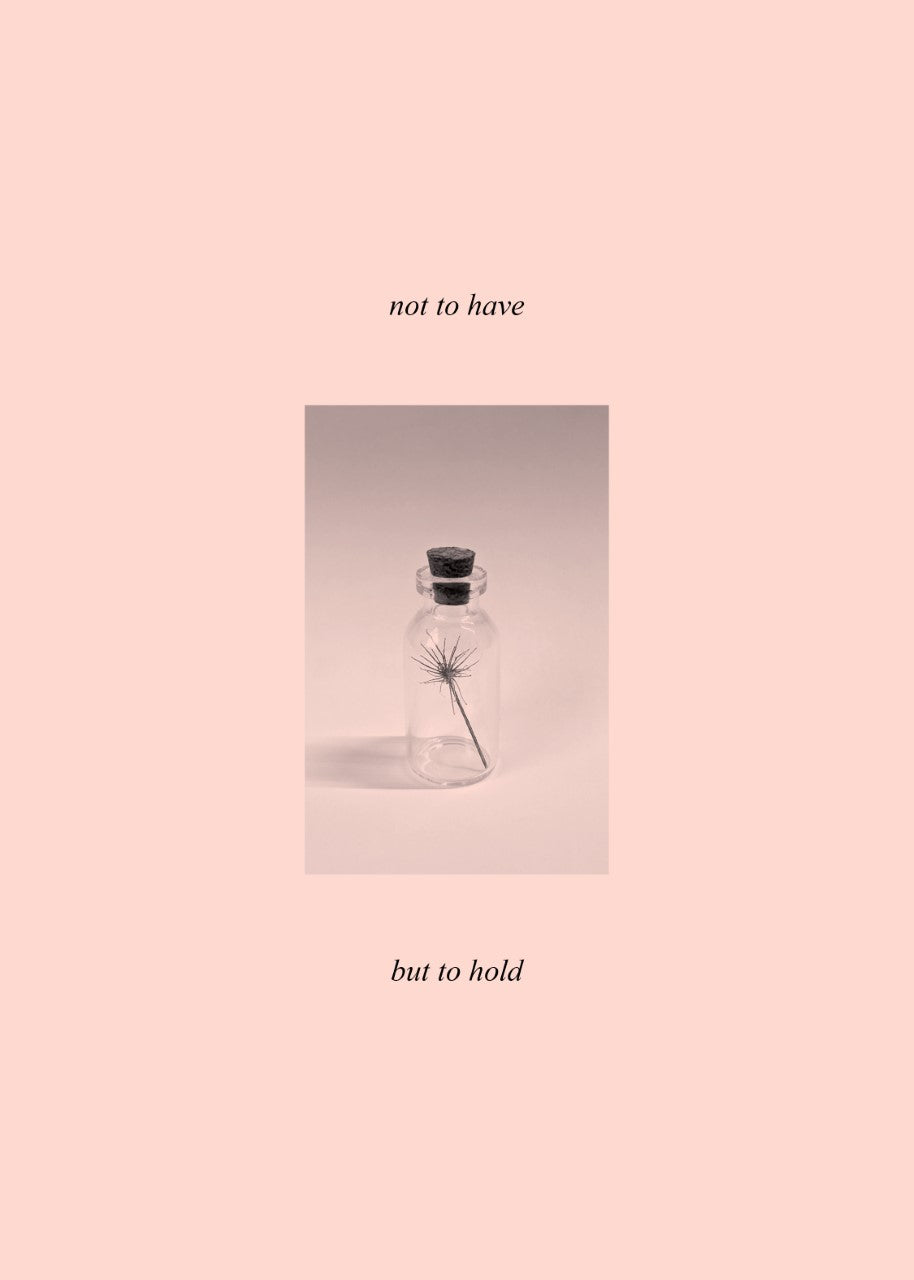 Not To Have, But To Hold