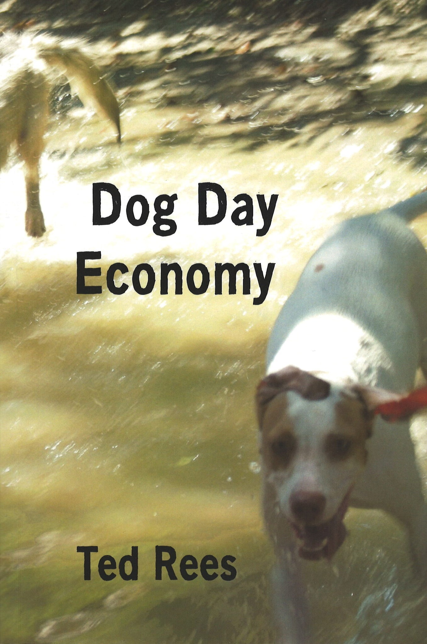 Dog Day Economy