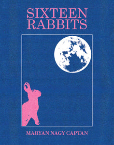 Sixteen Rabbits