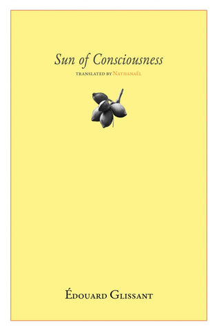 Sun of Consciousness