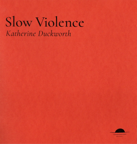 Slow Violence