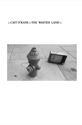 The Wasted Land