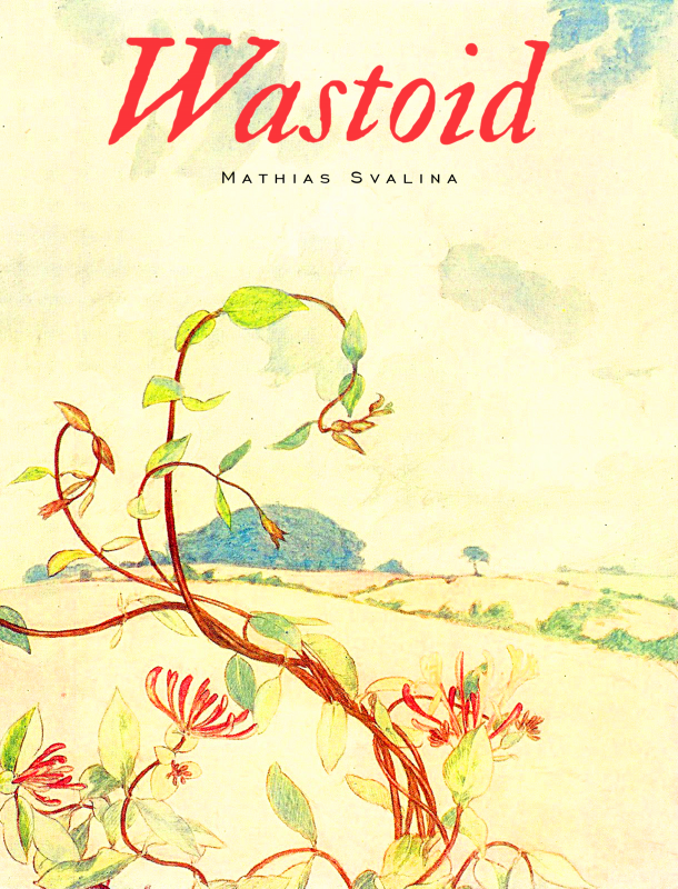 Wastoid