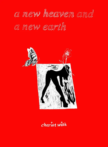 A New Heaven And A New Earth