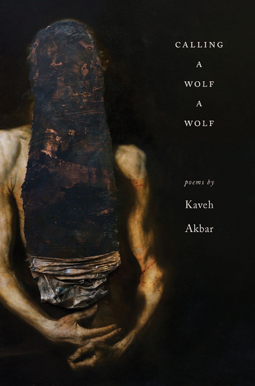 Calling a Wolf a Wolf: Poems