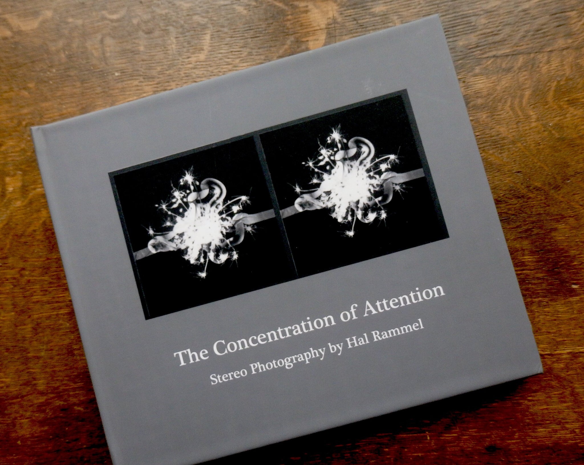 The Concentration of Attention: Stereo Photography by Hal Rammel
