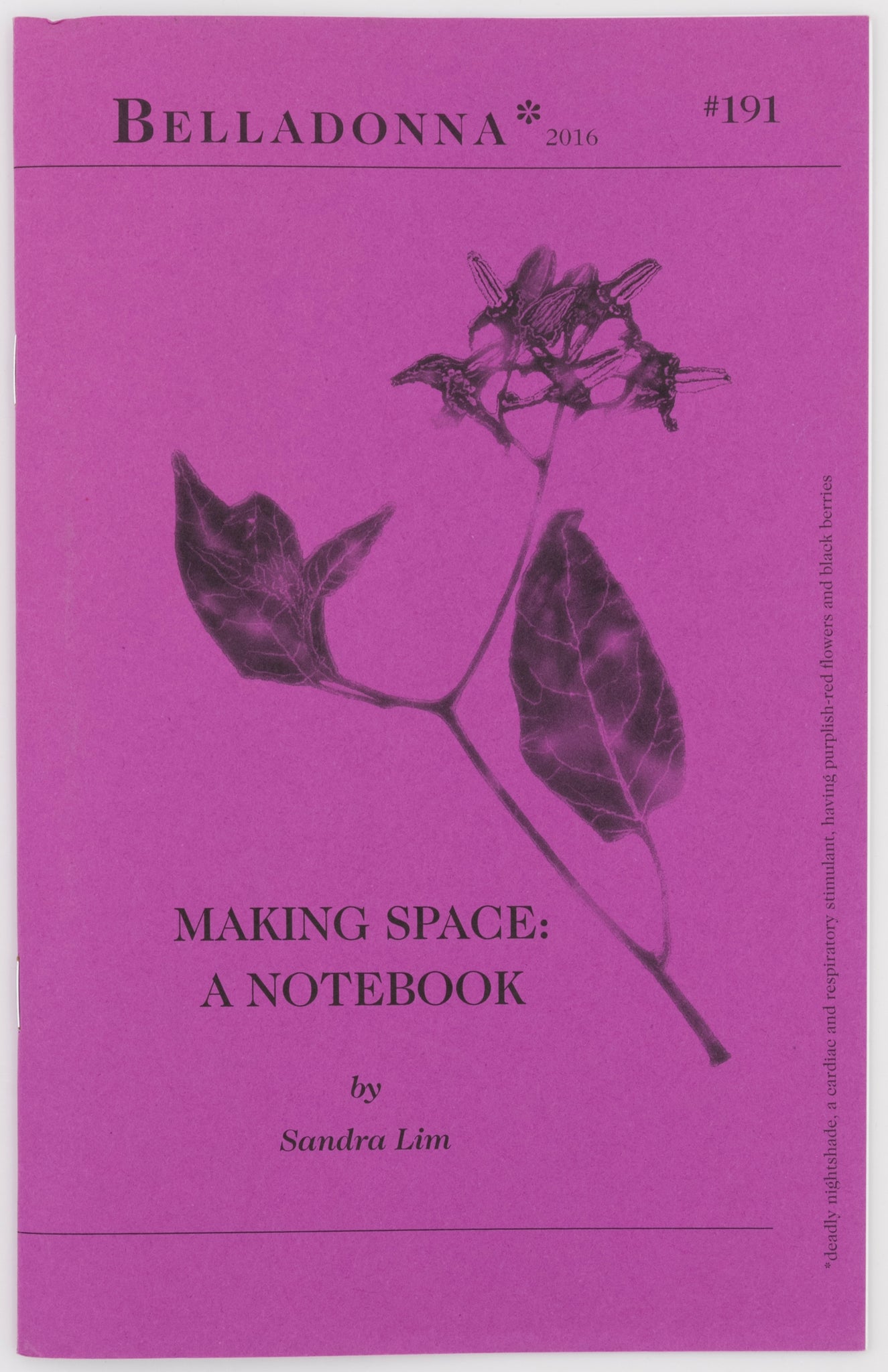 Making Space: A Notebook  (Belladonna* #191)