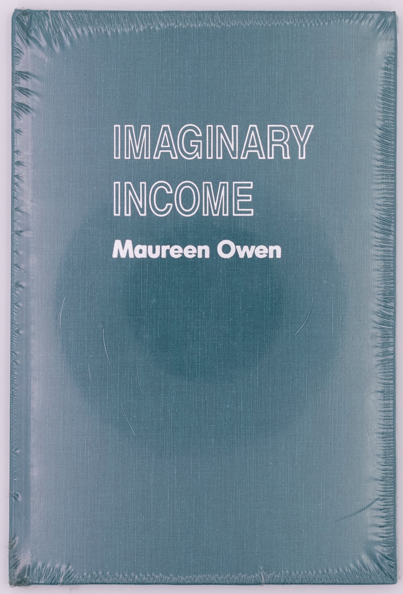 Imaginary Income (Hardcover)