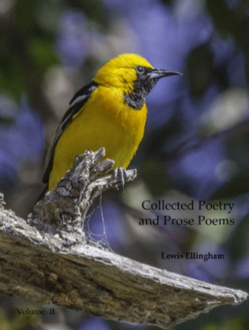 Collected Poetry and Prose Poems Vol. 2