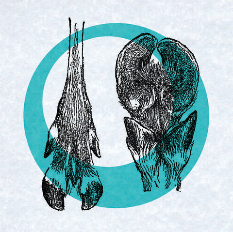 CARIBOU