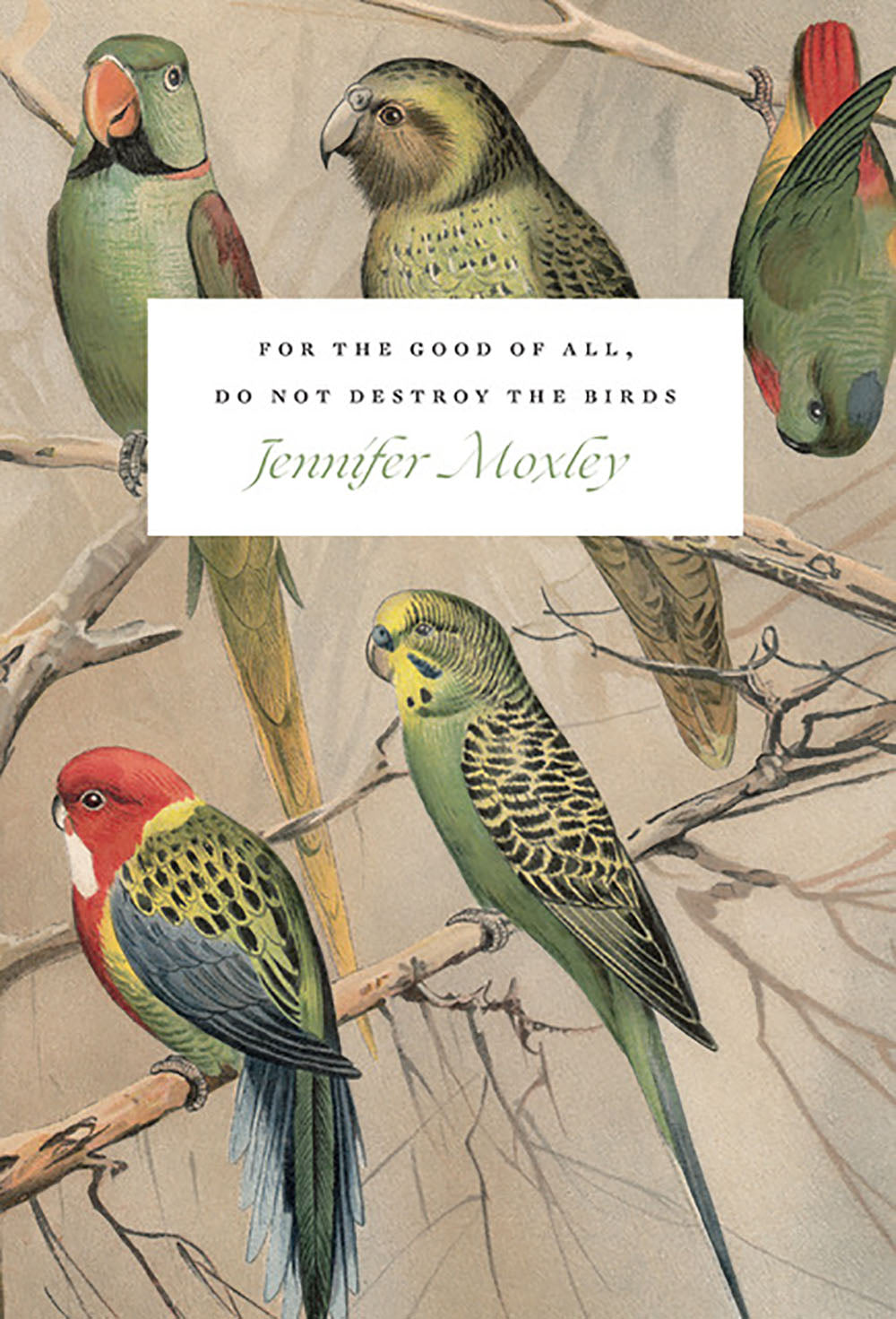 For the Good of All, Do Not Destroy the Birds: Essays