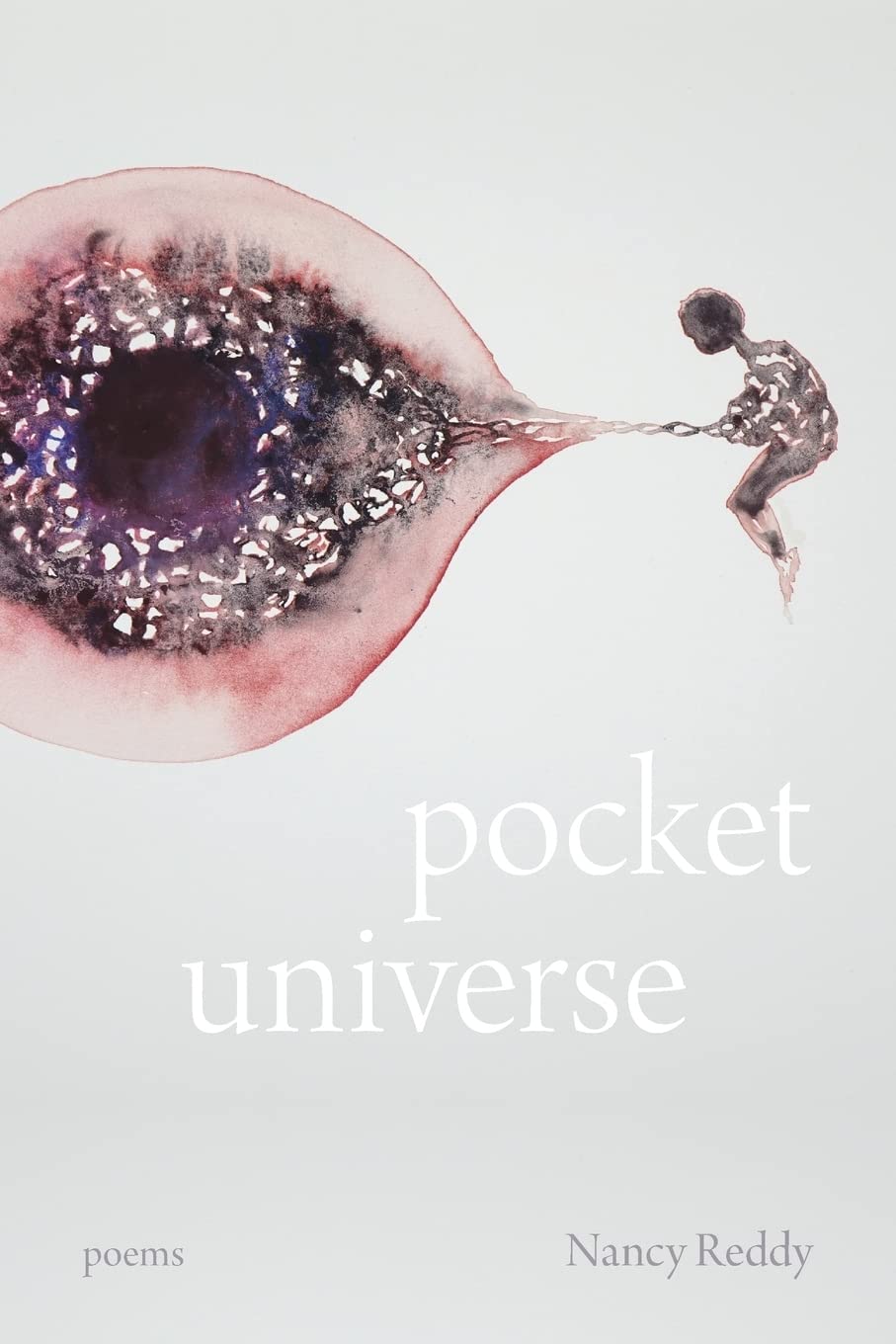 Pocket Universe: Poems