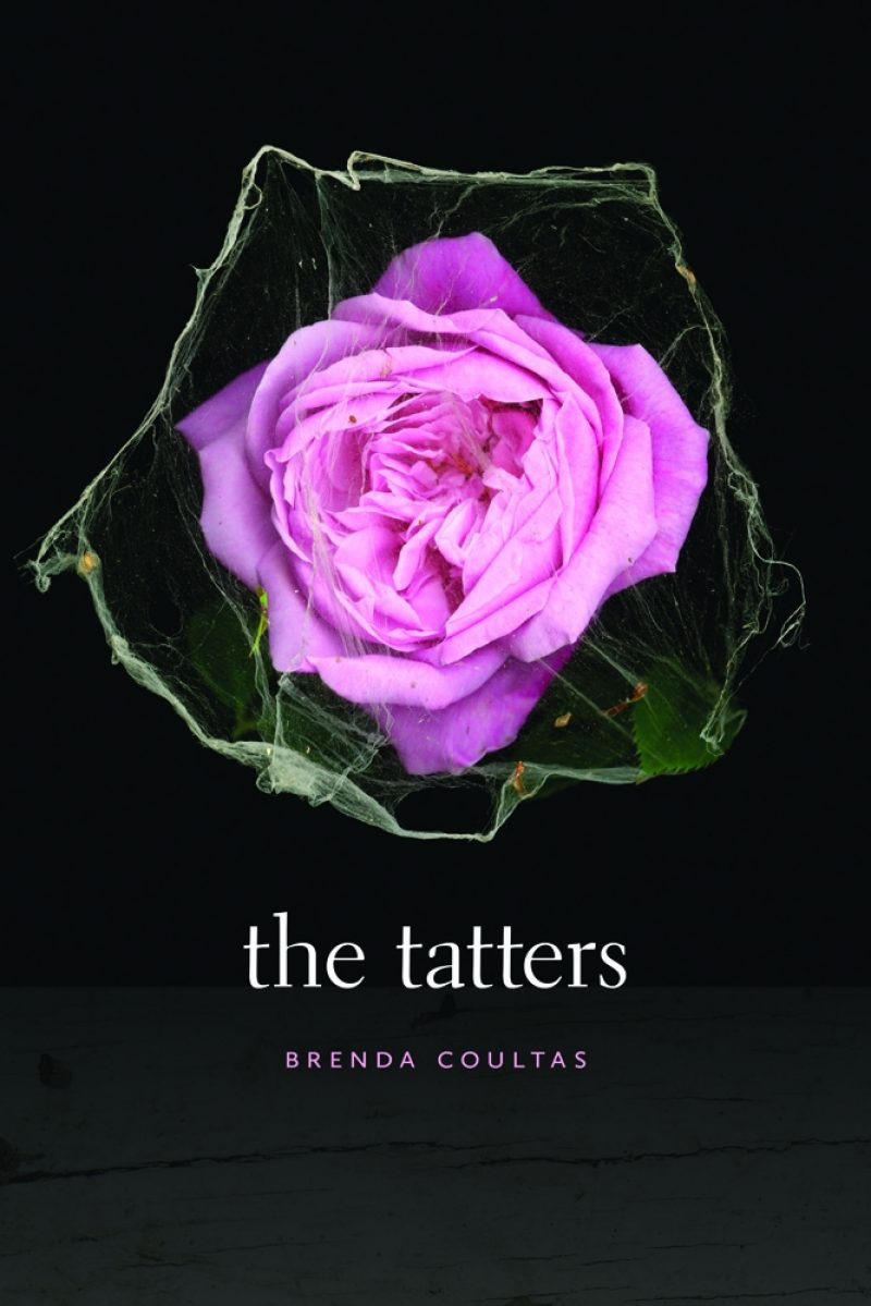 The Tatters (Hardcover)