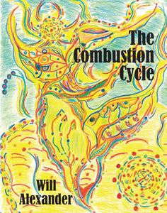 The Combustion Cycle