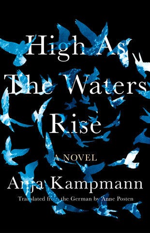 High as the Waters Rise: A Novel (Hardcover)