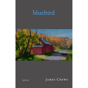 Bluebird: Poems