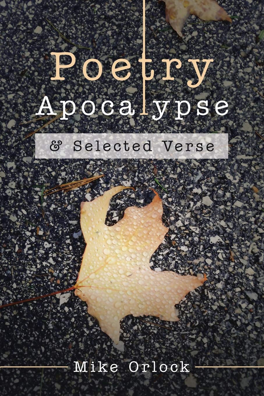 Poetry Apocalypse: & Selected Verse