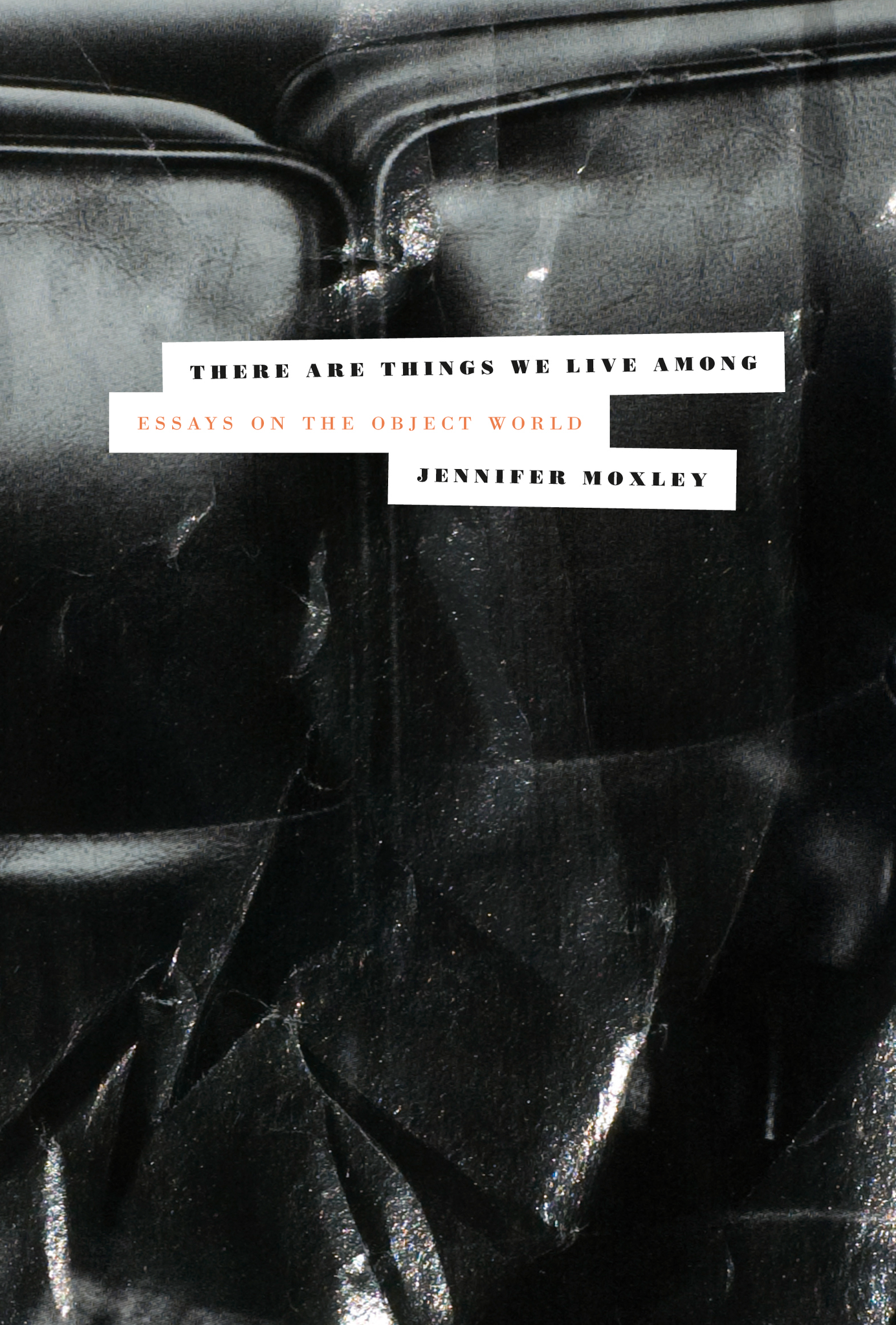 There are Things We Live Among: Essays on the Object World