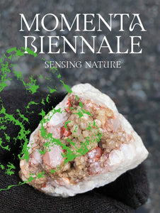 Momenta Biennale de l’image: Sensing Nature (Hardcover)