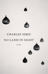 No Land in Sight (Hardcover)