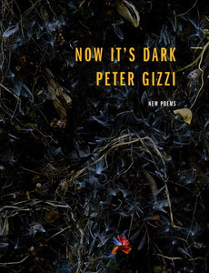 Now It's Dark: New Poems