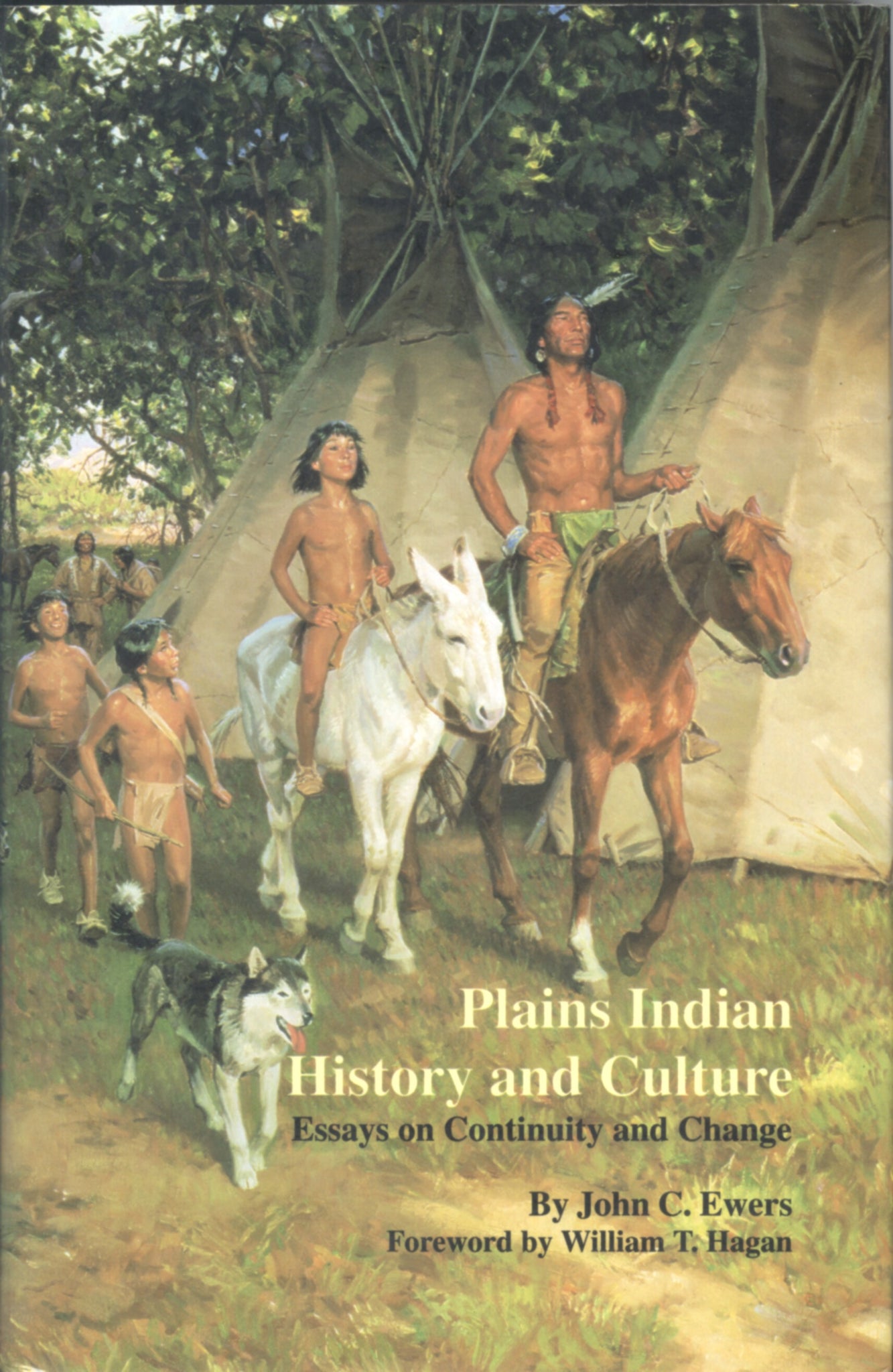 Plains Indian History and Culture: Essays on Continuity and Change (Hardcover)